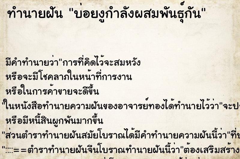 ทำนายฝันบ่อยงูกำลังผสมพันธุ์กัน ทำนายฝันทำนายฝันบ่อยงูกำลังผสมพันธุ์กัน