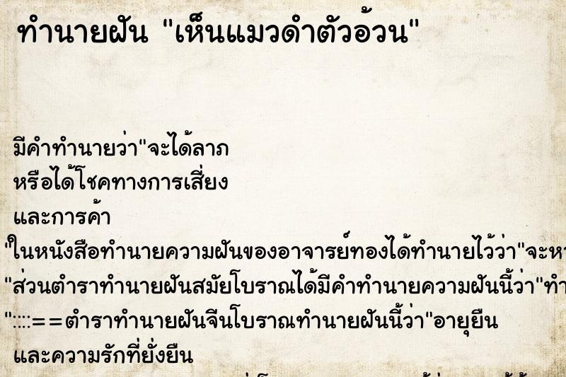 ทำนายฝัน เห็นแมวดำตัวอ้วน ทำนายฝัน เห็นแมวดำตัวอ้วน