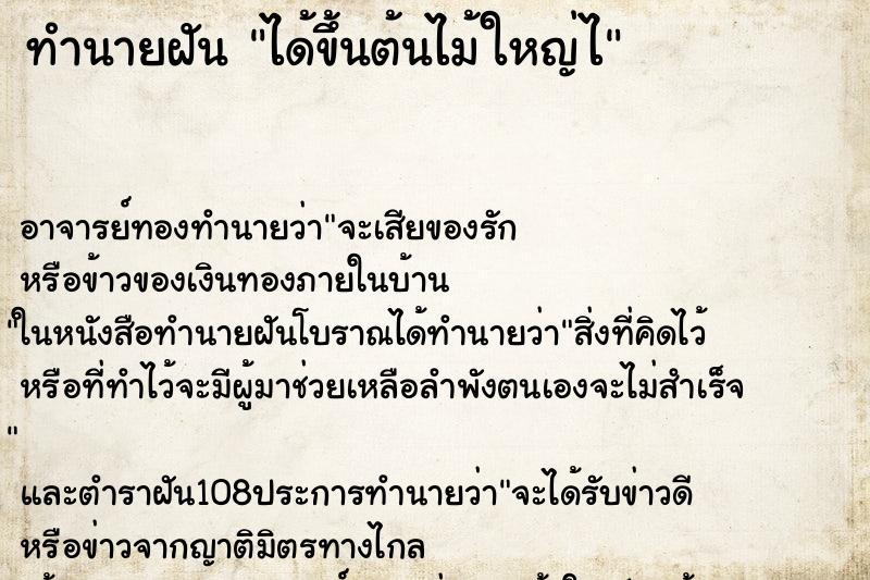 ทำนายฝันได้ขึ้นต้นไม้ใหญ่ไ ทำนายฝันทำนายฝันได้ขึ้นต้นไม้ใหญ่ไ