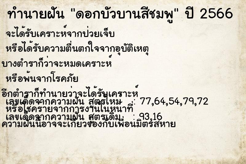 ทำนายฝัน ดอกบัวบานสีชมพู