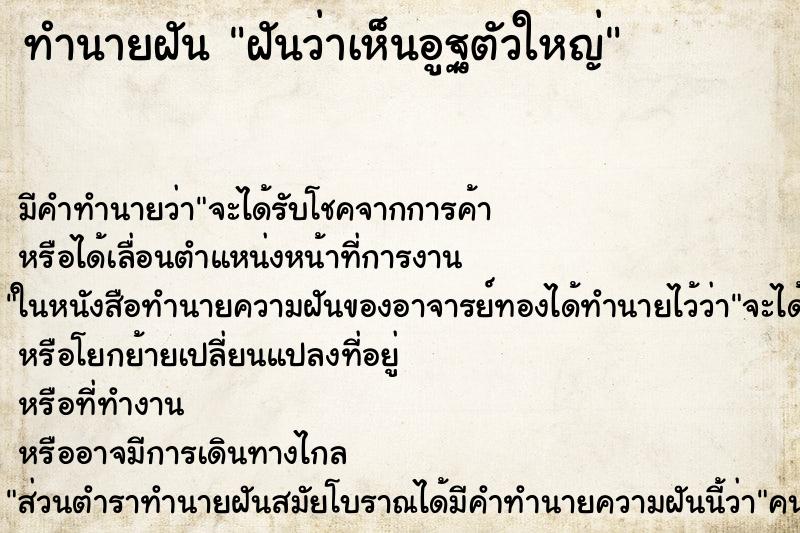 ทำนายฝัน ฝันว่าเห็นอูฐตัวใหญ่ ทำนายฝัน ฝันว่าเห็นอูฐตัวใหญ่