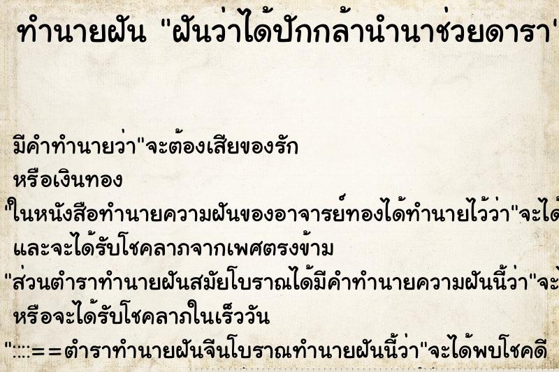 ทำนายฝันทำนายฝันฝันว่าได้ปักกล้านำนาช่วยดารา
