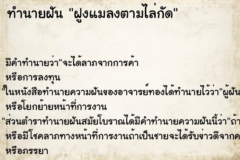 ทำนายฝัน ฝูงแมลงตามไล่กัด ทำนายฝัน ฝูงแมลงตามไล่กัด