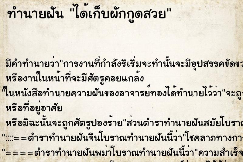 ทำนายฝัน ได้เก็บผักกูดสวย ทำนายฝัน ได้เก็บผักกูดสวย