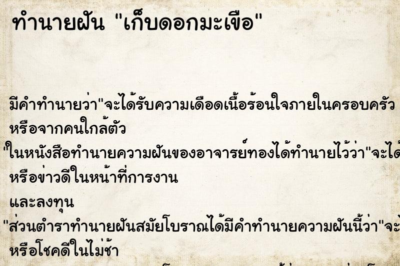 ทำนายฝันทำนายฝันเก็บดอกมะเขือ
