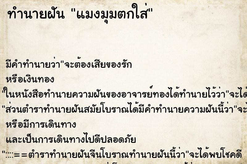 ทำนายฝัน แมงมุมตกใส่ ทำนายฝัน แมงมุมตกใส่