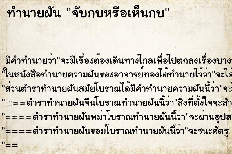 ทำนายฝัน จับกบหรือเห็นกบ