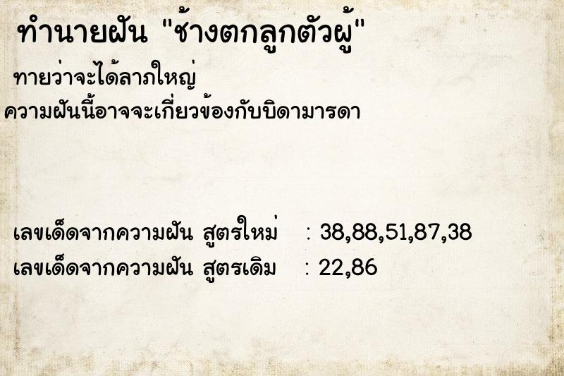 ทำนายฝันทำนายฝันช้างตกลูกตัวผู้