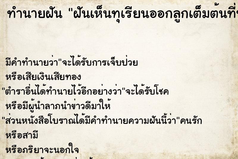 ทำนายฝันฝันเห็นทุเรียนออกลูกเต็มต้นที่บ้านหลังเก่า ทำนายฝันทำนายฝันฝันเห็นทุเรียนออกลูกเต็มต้นที่บ้านหลังเก่า
