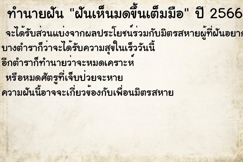 ทำนายฝันฝันเห็นมดขึ้นเต็มมือ ทำนายฝันทำนายฝันฝันเห็นมดขึ้นเต็มมือ