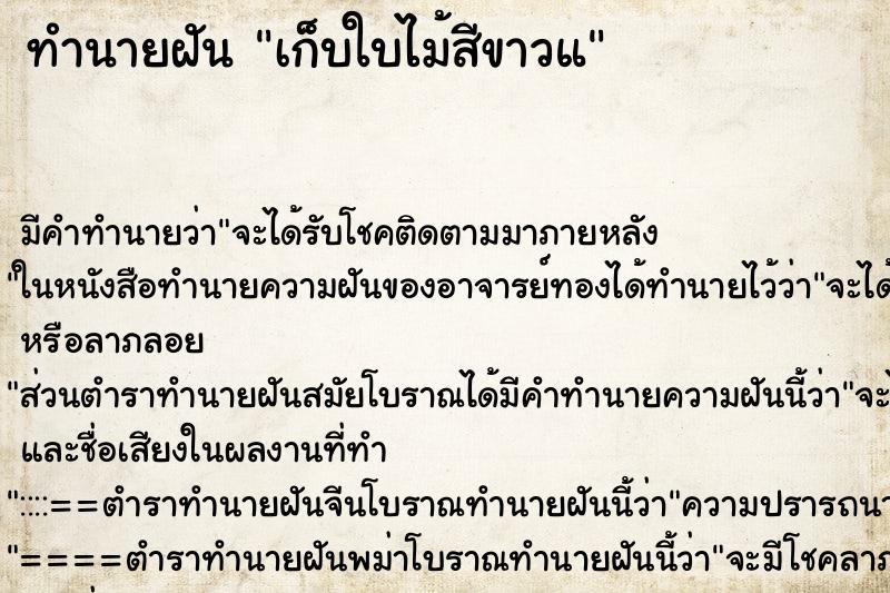 ทำนายฝันทำนายฝันเก็บใบไม้สีขาวแ