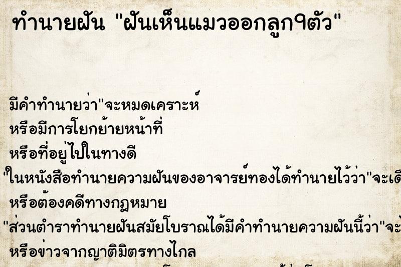 ทำนายฝัน ฝันเห็นแมวออกลูก9ตัว ทำนายฝัน ฝันเห็นแมวออกลูก9ตัว