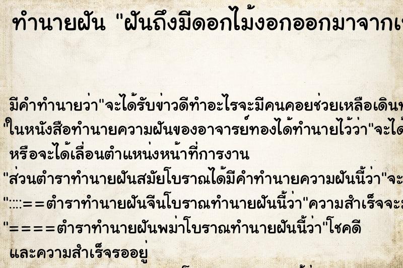 ทำนายฝัน ฝันถึงมีดอกไม้งอกออกมาจากเท้า ทำนายฝัน ฝันถึงมีดอกไม้งอกออกมาจากเท้า