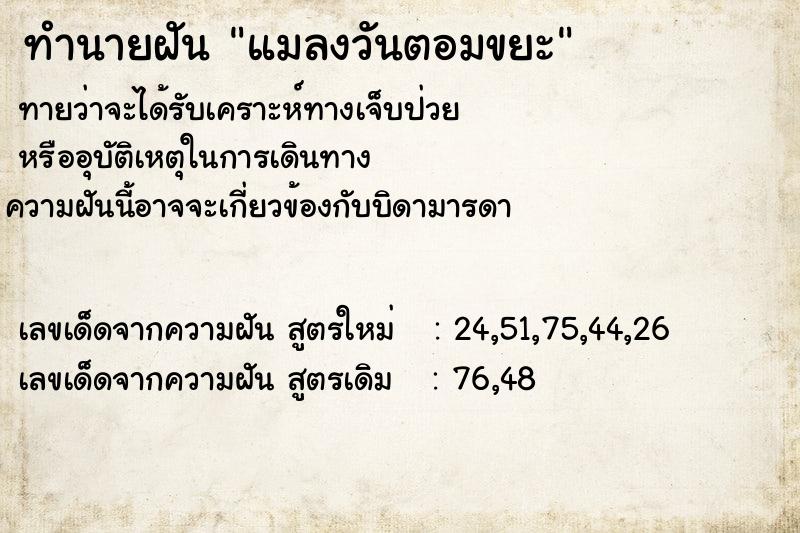 ทำนายฝัน แมลงวันตอมขยะ ตำราโบราณ แม่นที่สุดในโลก