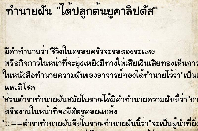 ทำนายฝันทำนายฝันได้ปลูกต้นยูคาลิปตัส