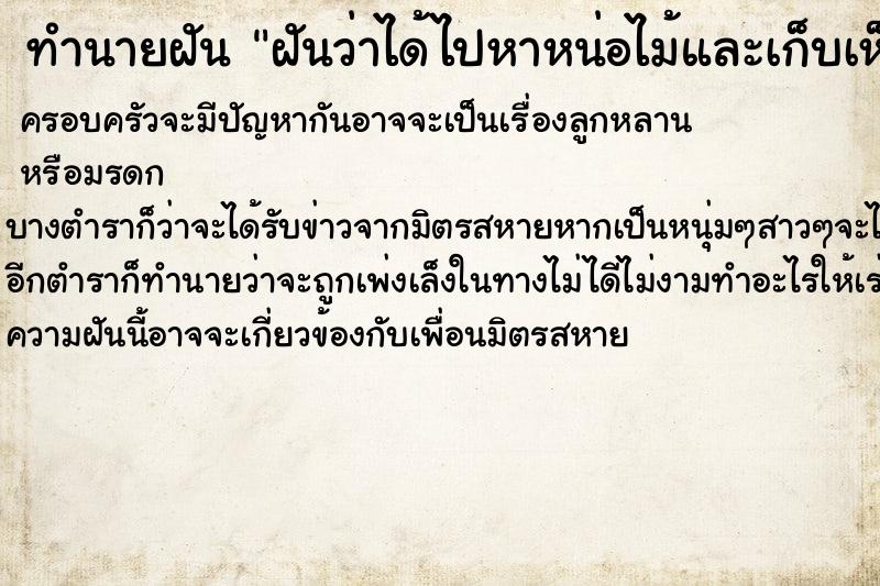 ทำนายฝันฝันว่าได้ไปหาหน่อไม้และเก็บเห็ดเผาะได้มาจำนวนมาก ทำนายฝันทำนายฝันฝันว่าได้ไปหาหน่อไม้และเก็บเห็ดเผาะได้มาจำนวนมาก