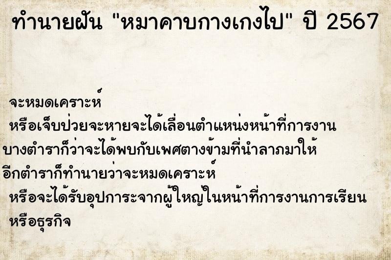 ทำนายฝัน หมาคาบกางเกงไป ทำนายฝัน หมาคาบกางเกงไป
