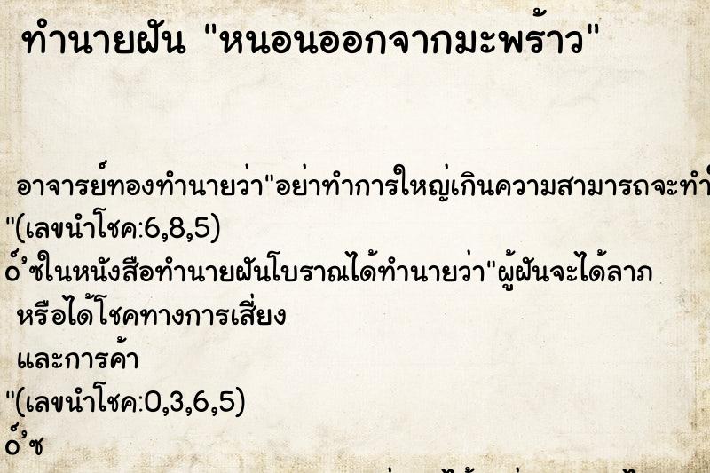 ทำนายฝัน หนอนออกจากมะพร้าว ทำนายฝัน หนอนออกจากมะพร้าว