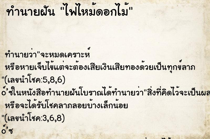 ทำนายฝัน ไฟไหม้ดอกไม้