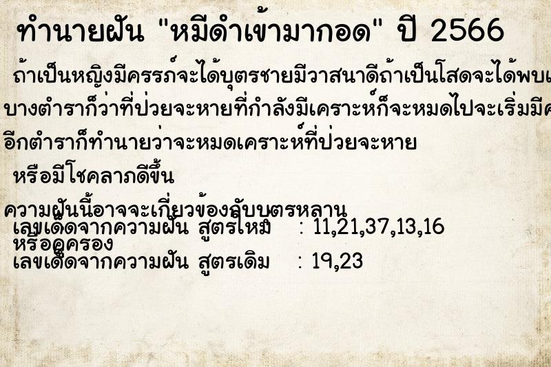 ทำนายฝัน หมีดำเข้ามากอด