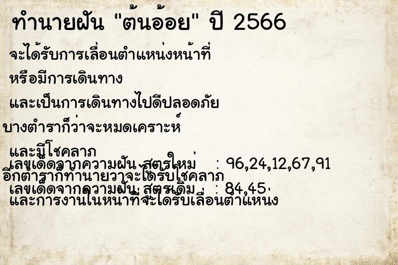 ทำนายฝัน ต้นอ้อย ทำนายฝัน ต้นอ้อย