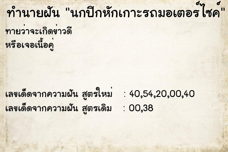 ทำนายฝันนกปีกหักเกาะรถมอเตอร์ไซค์ ทำนายฝันทำนายฝันนกปีกหักเกาะรถมอเตอร์ไซค์