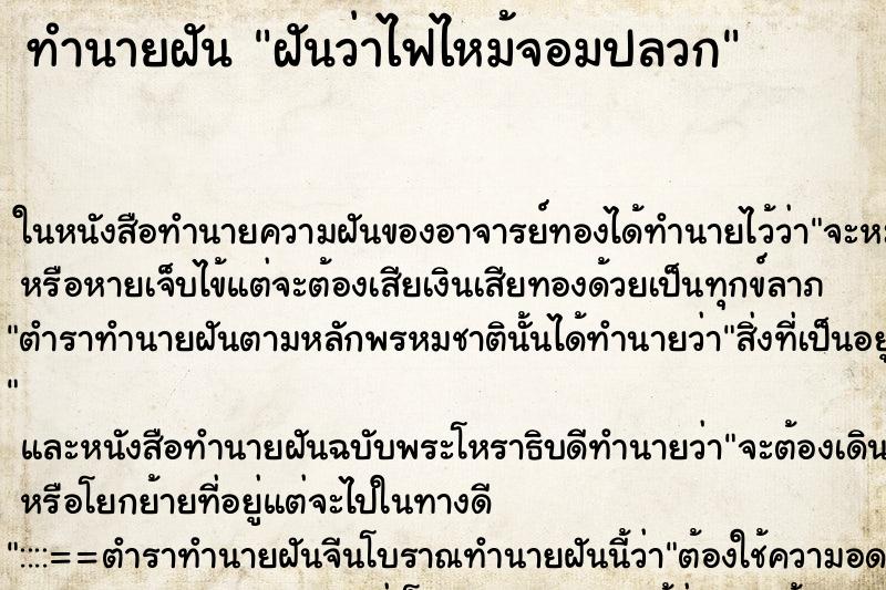 ทำนายฝัน ฝันว่าไฟไหม้จอมปลวก