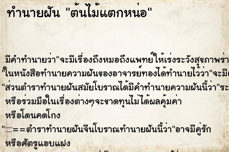 ทำนายฝัน ต้นไม้แตกหน่อ ทำนายฝัน ต้นไม้แตกหน่อ