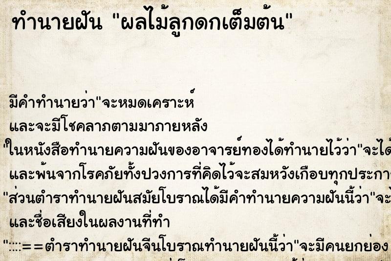 ทำนายฝัน ผลไม้ลูกดกเต็มต้น ทำนายฝัน ผลไม้ลูกดกเต็มต้น