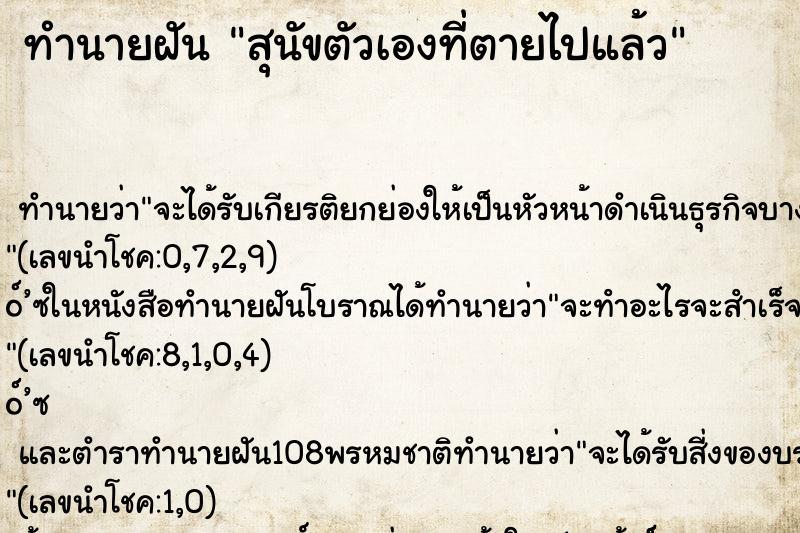 ทำนายฝันสุนัขตัวเองที่ตายไปแล้ว ทำนายฝันทำนายฝันสุนัขตัวเองที่ตายไปแล้ว