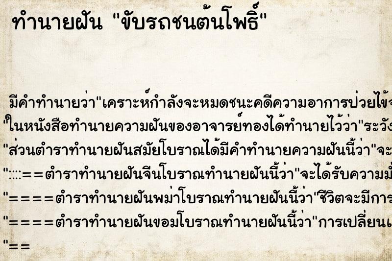 ทำนายฝัน ขับรถชนต้นโพธิ์ ตำราโบราณ แม่นที่สุดในโลก