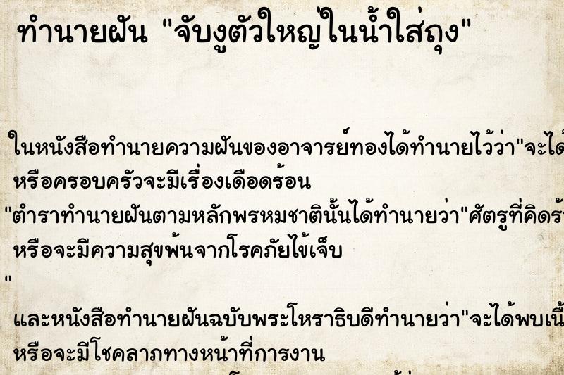 ทำนายฝัน จับงูตัวใหญ่ในน้ำใส่ถุง ทำนายฝัน จับงูตัวใหญ่ในน้ำใส่ถุง