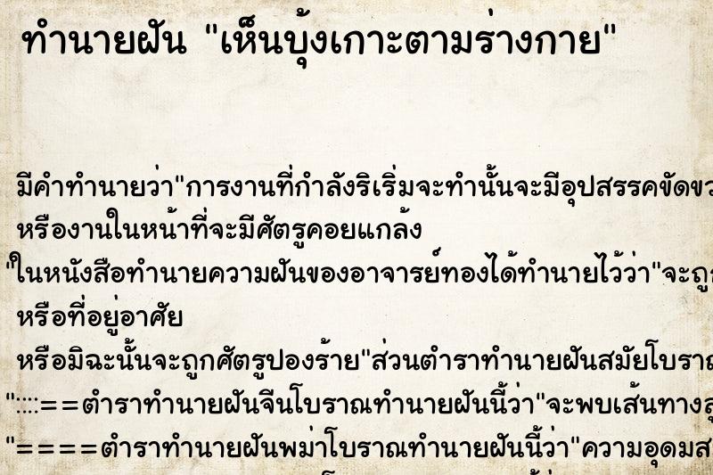 ทำนายฝันเห็นบุ้งเกาะตามร่างกาย ทำนายฝันทำนายฝันเห็นบุ้งเกาะตามร่างกาย