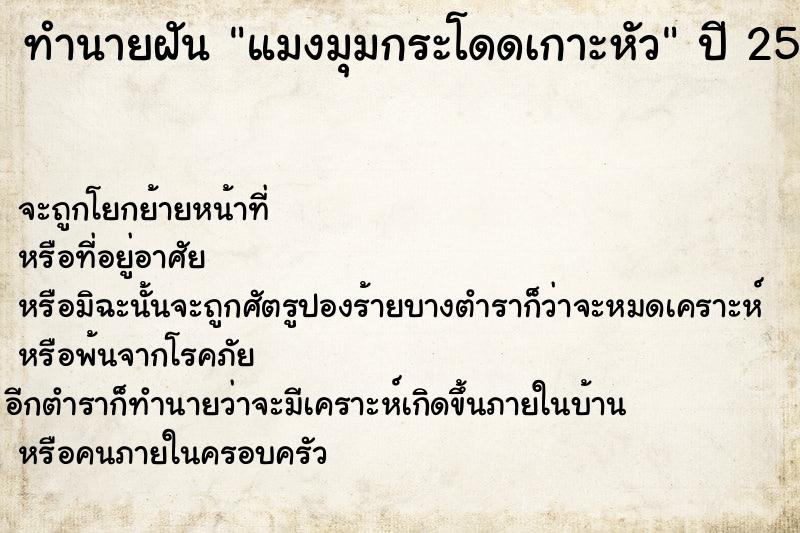 ทำนายฝันทำนายฝันแมงมุมกระโดดเกาะหัว