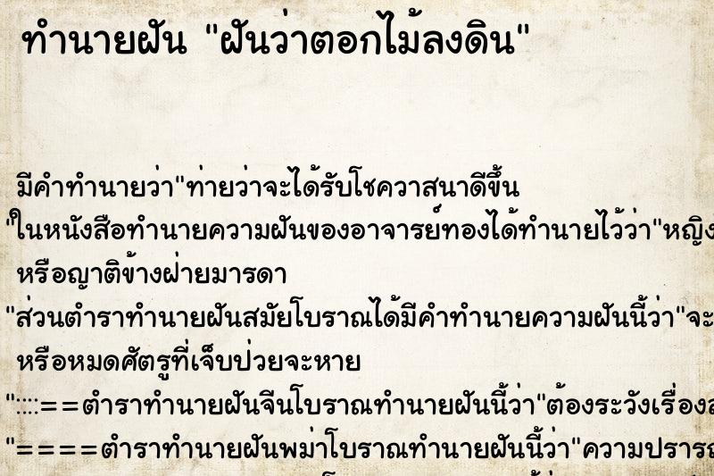 ทำนายฝัน ฝันว่าตอกไม้ลงดิน ทำนายฝัน ฝันว่าตอกไม้ลงดิน