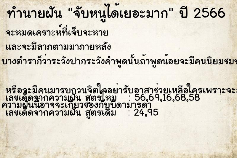 ทำนายฝัน จับหนูได้เยอะมาก ทำนายฝัน จับหนูได้เยอะมาก