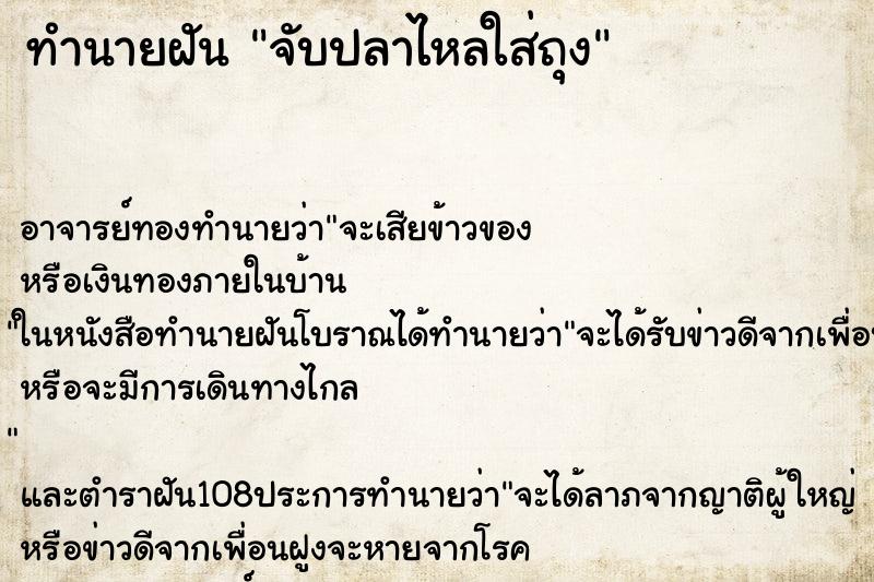 ทำนายฝันจับปลาไหลใส่ถุง ทำนายฝันทำนายฝันจับปลาไหลใส่ถุง