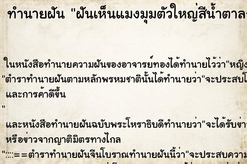 ทำนายฝันฝันเห็นแมงมุมตัวใหญ่สีน้ำตาลกับน้ำตาล ทำนายฝันทำนายฝันฝันเห็นแมงมุมตัวใหญ่สีน้ำตาลกับน้ำตาล