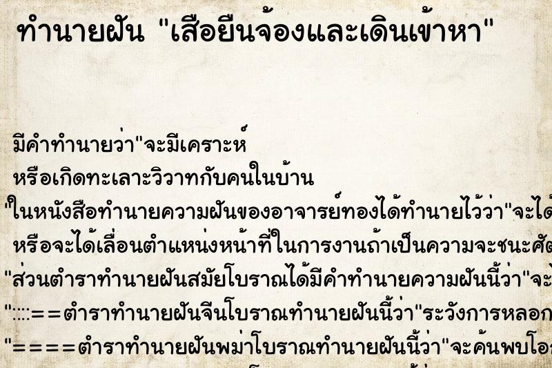 ทำนายฝันทำนายฝันเสือยืนจ้องและเดินเข้าหา