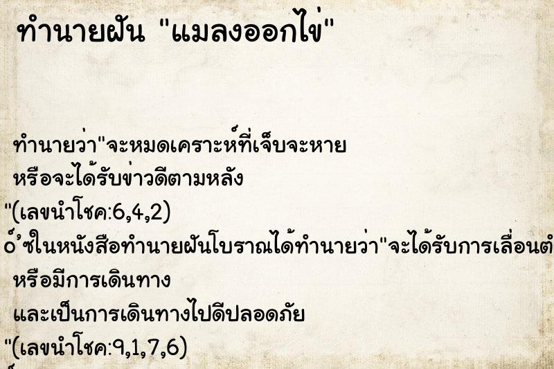 ทำนายฝัน แมลงออกไข่