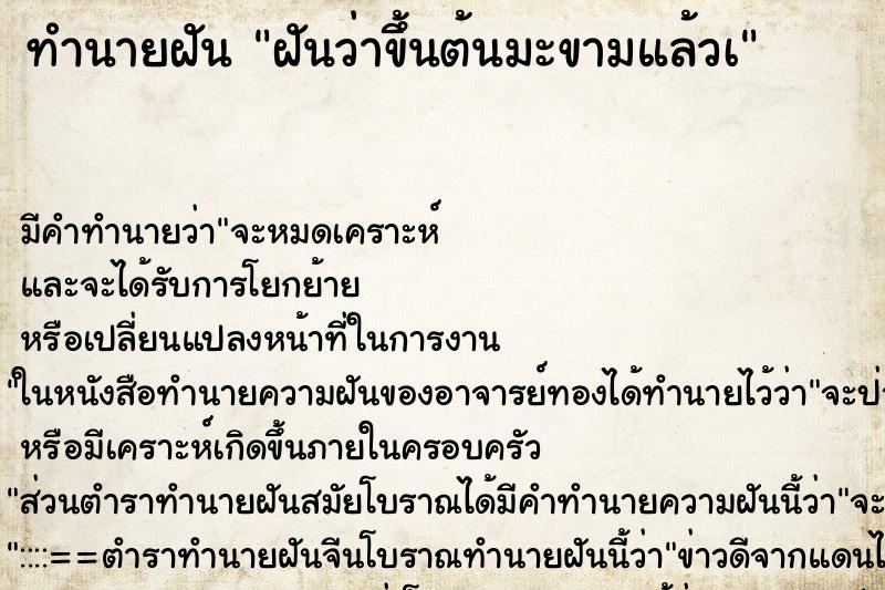ทำนายฝัน ฝันว่าขึ้นต้นมะขามแล้วà ทำนายฝัน ฝันว่าขึ้นต้นมะขามแล้วà
