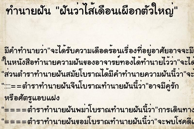 ทำนายฝันฝันว่าไส้เดือนเผือกตัวใหญ่ ทำนายฝันทำนายฝันฝันว่าไส้เดือนเผือกตัวใหญ่