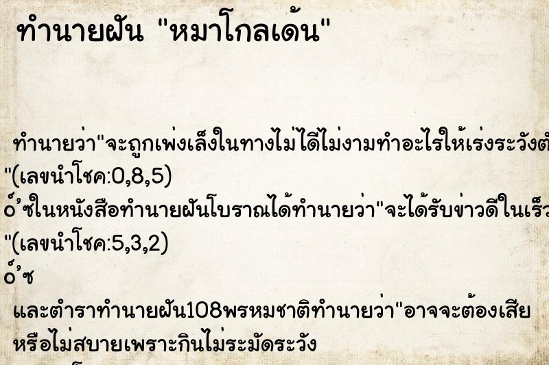 ทำนายฝันหมาโกลเด้น ทำนายฝันทำนายฝันหมาโกลเด้น