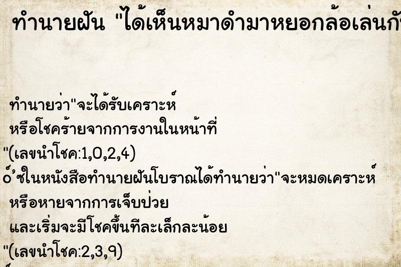 ทำนายฝัน ได้เห็นหมาดำมาหยอกล้อเล่นกับตัวเอง ทำนายฝัน ได้เห็นหมาดำมาหยอกล้อเล่นกับตัวเอง