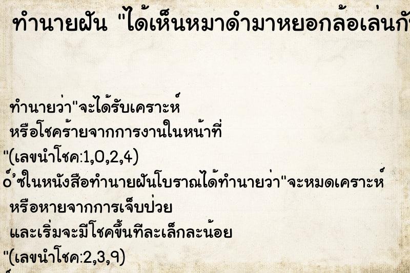 ทำนายฝัน ได้เห็นหมาดำมาหยอกล้อเล่นกับตัวเอง ตำราโบราณ แม่นที่สุดในโลก