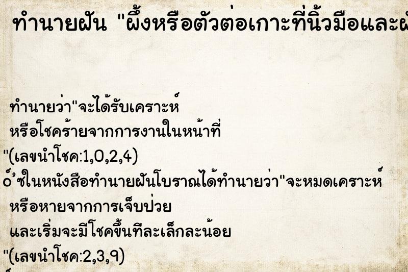 ทำนายฝัน ผึ้งหรือตัวต่อเกาะที่นิ้วมือและฝังอยู่ตามร่างกาย