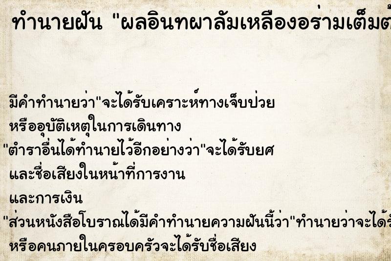 ทำนายฝันผลอินทผาลัมเหลืองอร่ามเต็มต้น ทำนายฝันทำนายฝันผลอินทผาลัมเหลืองอร่ามเต็มต้น