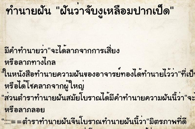 ทำนายฝัน ฝันว่าจับงูเหลือมปากเป็ด ทำนายฝัน ฝันว่าจับงูเหลือมปากเป็ด