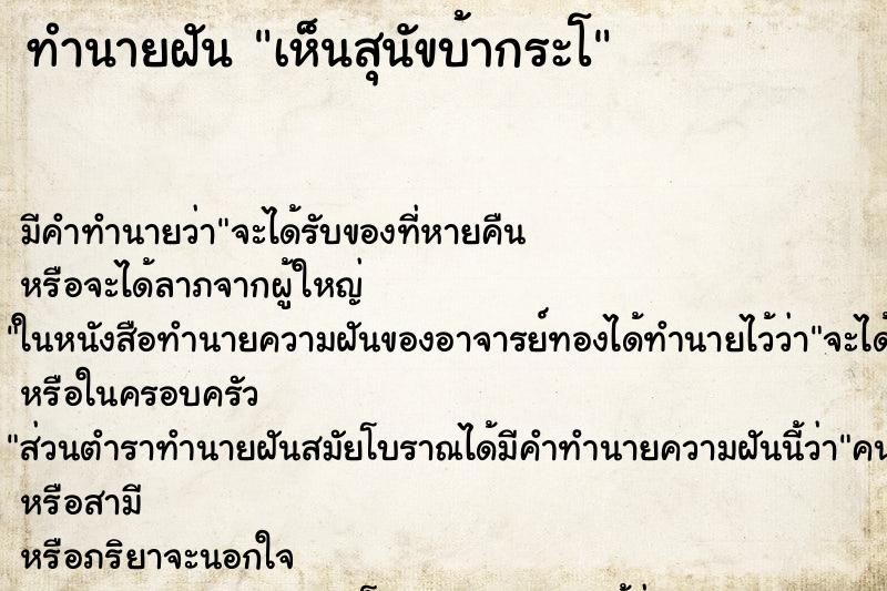 ทำนายฝัน เห็นสุนัขบ้ากระโ ทำนายฝัน เห็นสุนัขบ้ากระโ