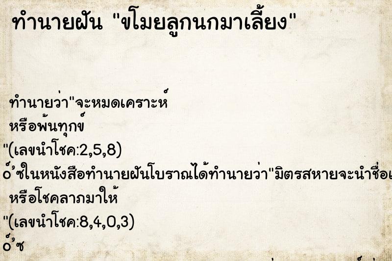 ทำนายฝัน ขโมยลูกนกมาเลี้ยง ทำนายฝัน ขโมยลูกนกมาเลี้ยง